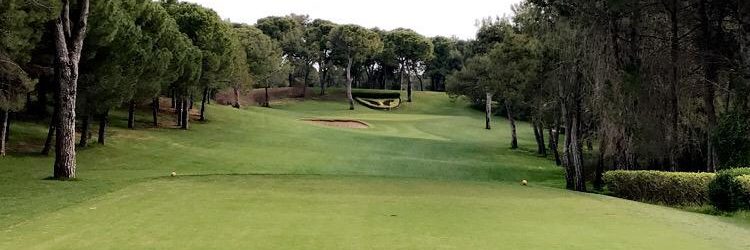 WhatsApp Image 2019-04-25 at 08.16.45