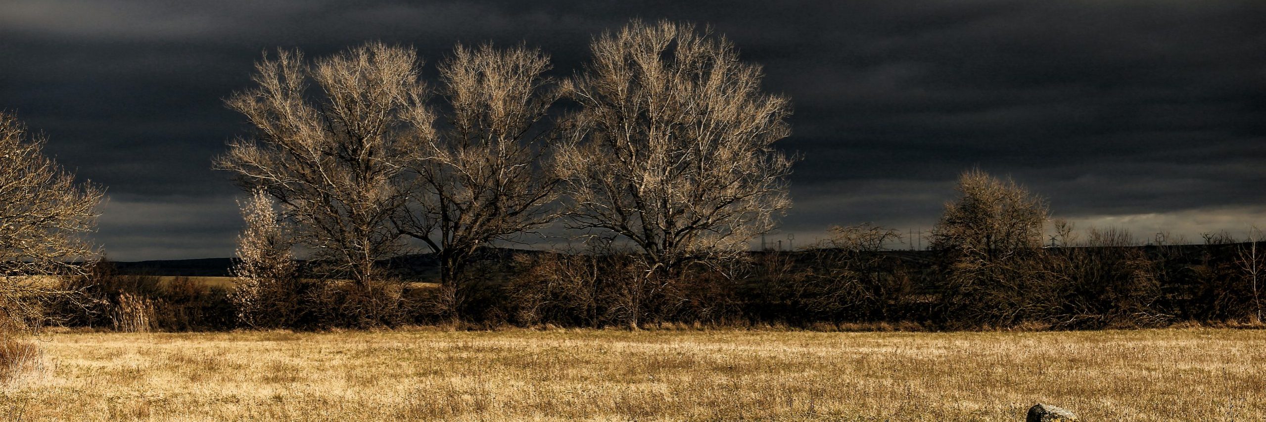 pexels-eberhard-grossgasteiger-976907