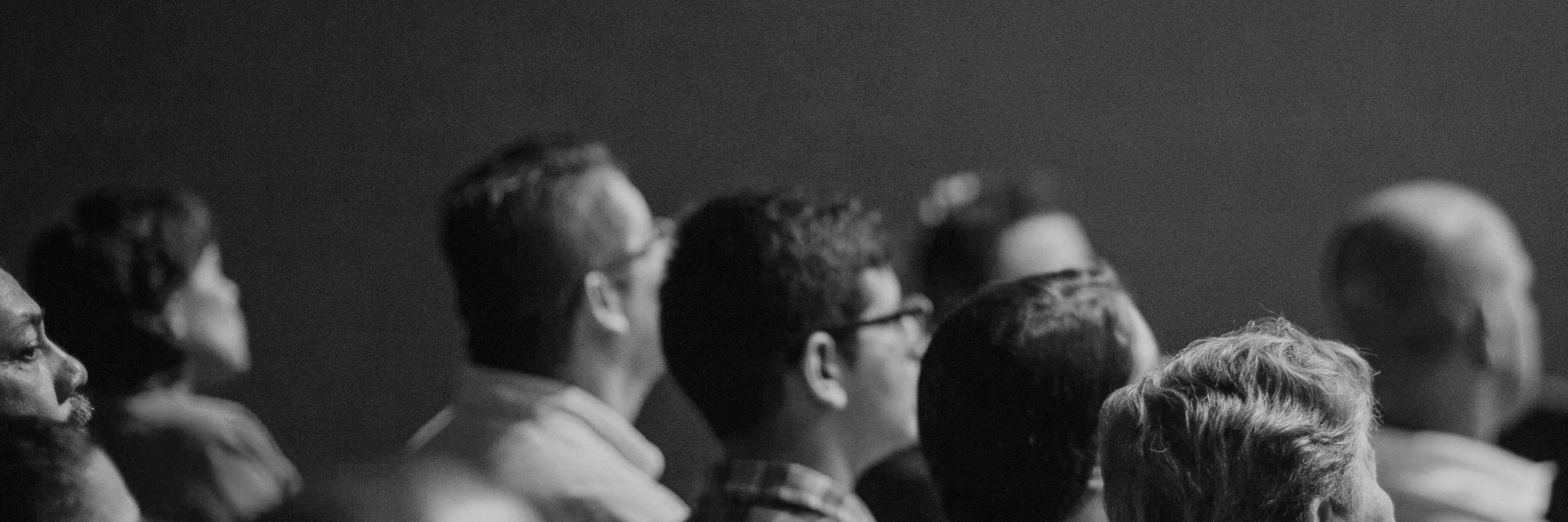 pexels-jibarofoto-2774556